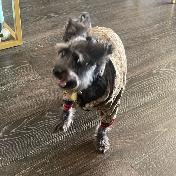 Mini Dog Jacket 🤎 - Picture 3 of 6